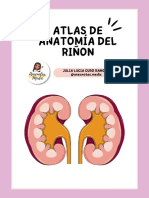 ATLAS DEL RIÑÓN-ANECNOTES.MEDIC