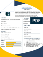 Curiculum Vitae: Profile Hobbies