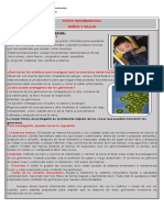 Articulo Informativo Clase