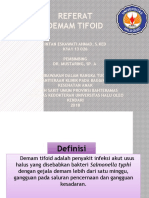 Demam Tifoid