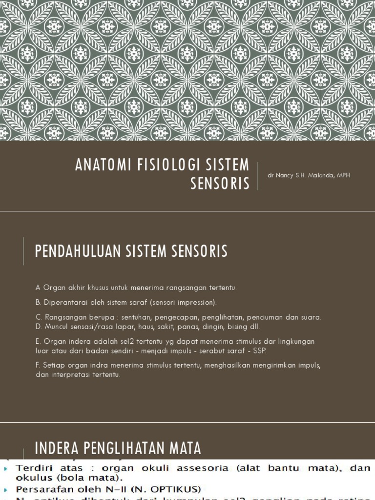 Anatomi Fisiologi Sistem Sensoris | PDF