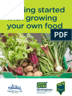 Getting Started With Growing Your Own Food