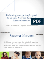 Embriologia: Organização Geral Do Sistema Nervoso Durante o Desenvolvimento