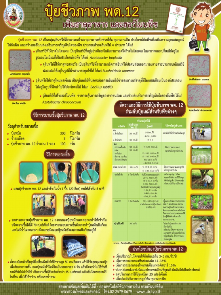 โปสเตอร์ปุ๋ยชีวภาพ พด.12 เพิ่มธาตุอาหารและฮอร์โมนพืช | PDF