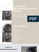 Caso Clínico Hiporadrenocorticismo em Cães