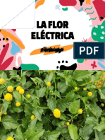 Proyecto Flor Eléctrica
