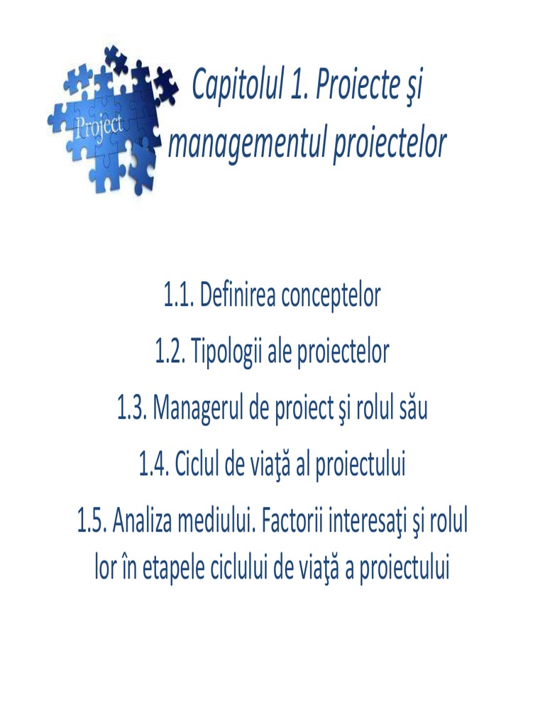 Capitolul 1. Proiecte Şi Managementul Proiectelor | PDF