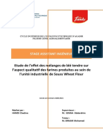 Rapport de Stage FANDY VE