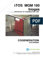 Stratos MGM 160 Biogas: Cogeneration