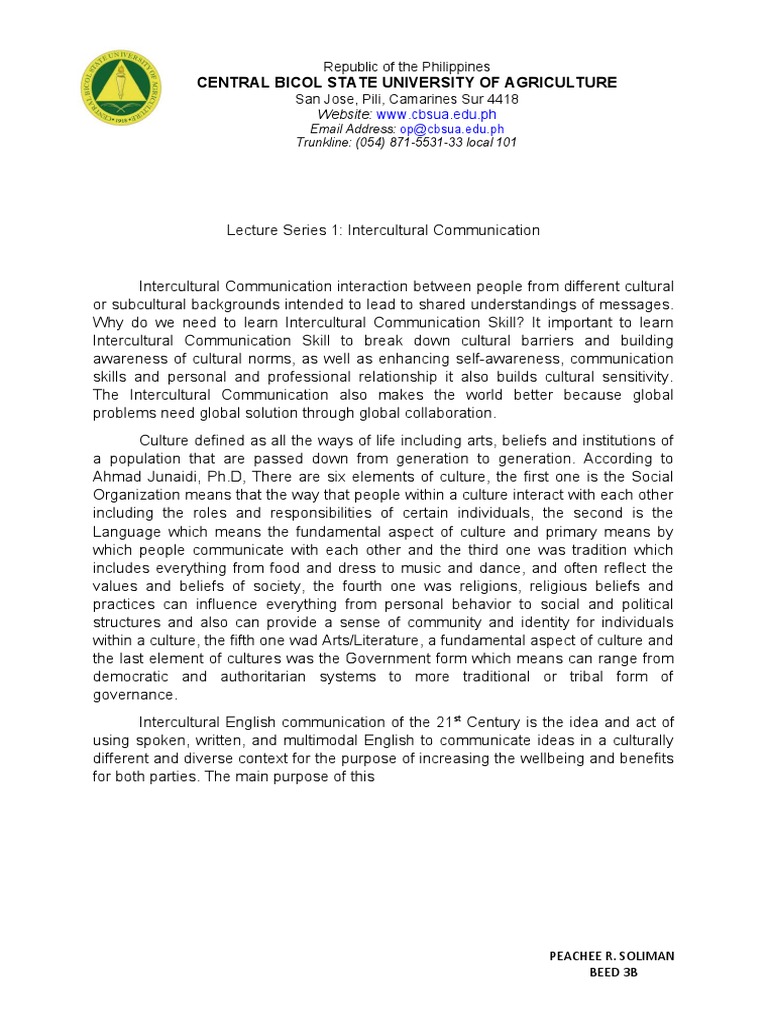 Intercultural Communication Insights | PDF | Cross Cultural ...