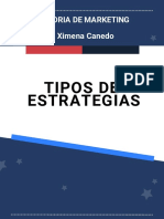 Tipos de Estrategias: Auditoria de Marketing Lic. Ximena Canedo