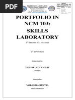 Portfolio Guide