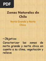 ZONA NORTE DE CHILE para Niños | PDF
