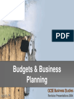 Budgets and Business Planning