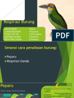 Respirasi Burung