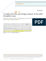 A Single-Cell Atlas and Lineage Analysis of The Adult