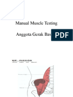 Manual Muscle Testing