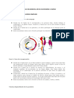 1.2 Conocimientos Anatomía y Biomecánica