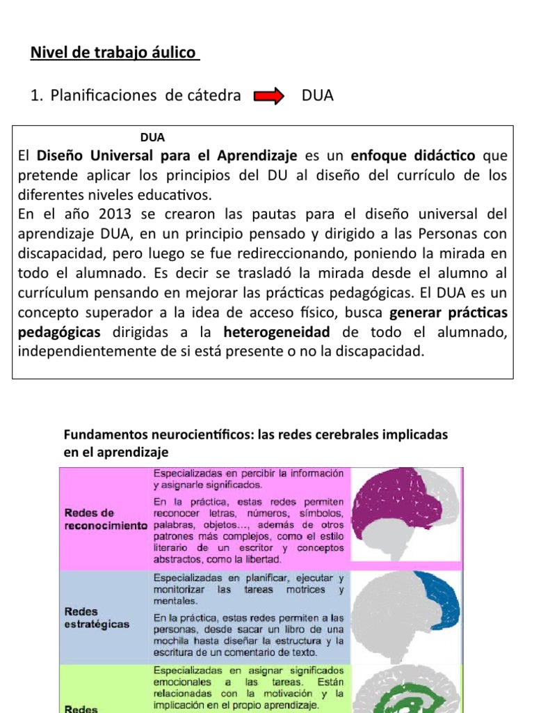 Principios del DUA en el Aula | PDF