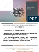 Diferenças entre arqueobactérias, bactérias gram positiva e gram negativa, e bactérias capsuladas