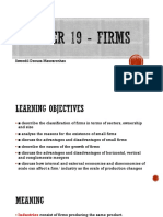 Chapter 20 - Firms