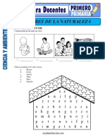 Los Seres de La Naturaleza para Primero de Primaria