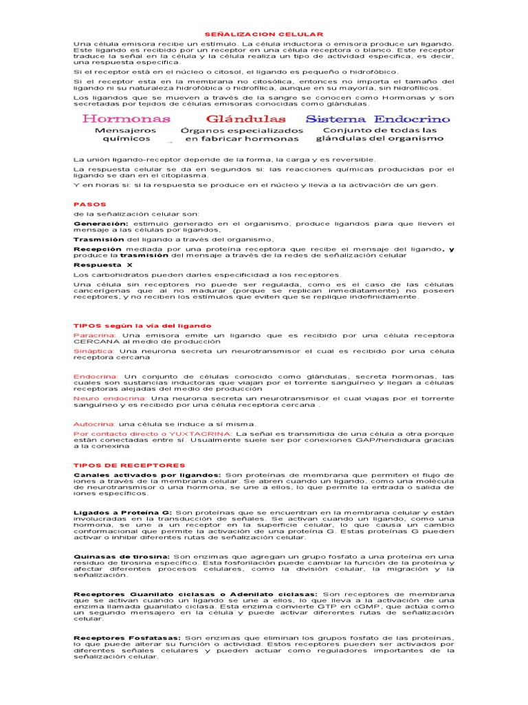 Señalizacion Celular Download Free PDF Receptor (Bioquímica