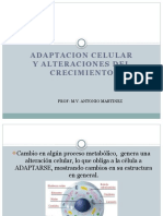 Profesor Antonio 3 - Adaptacion Celular y Alteracion Del Crecimiento PDF