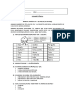 Prova Ciencias 2 Ano - Animais Dom e Silvestres