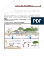 Estructura Del Ecosistema: 1. La Ecología