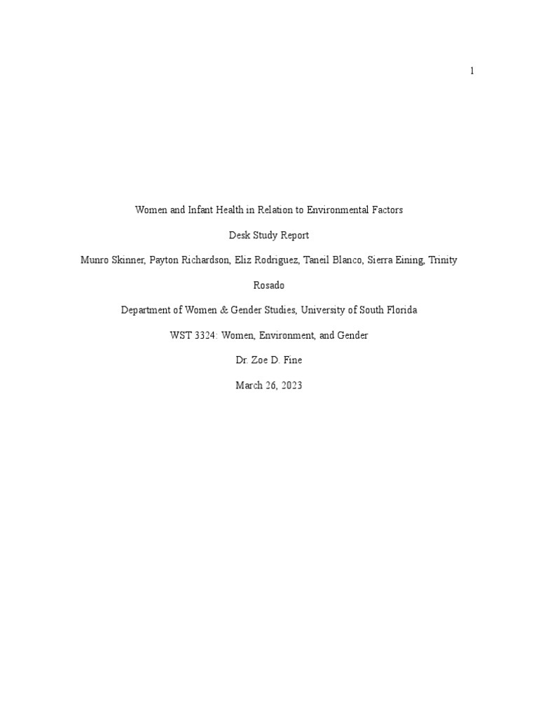 Desk Study Report Group 2 PDF Health Equity Infant Mortality