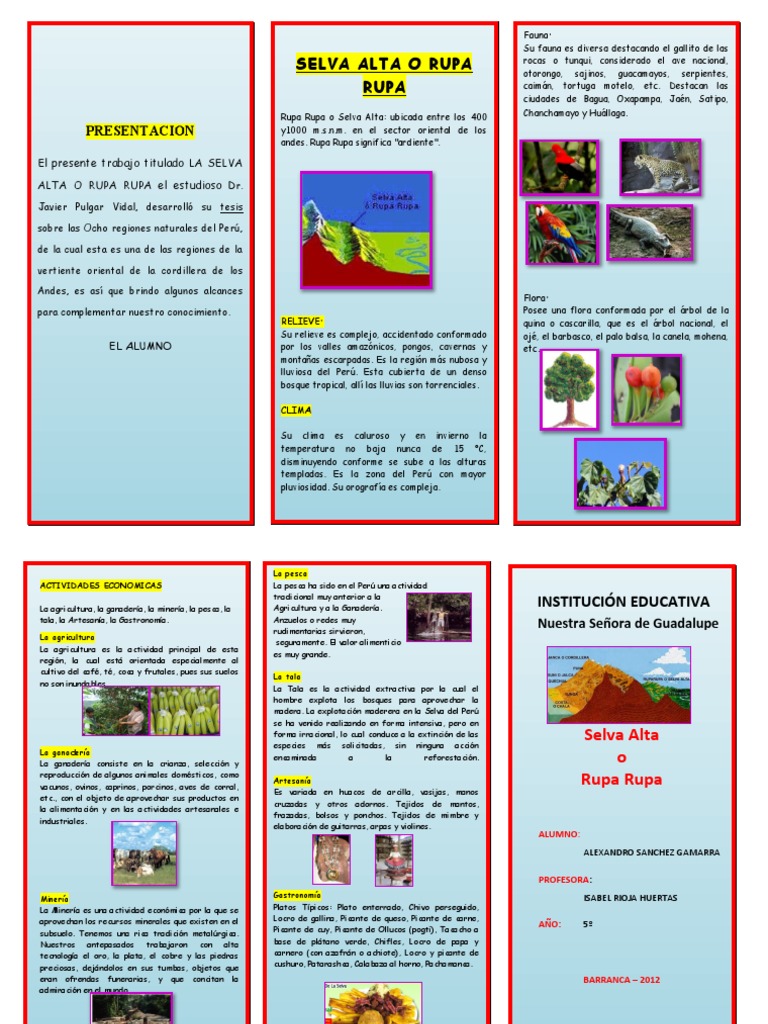 Selva Alta O Rupa Rupa: Presentacion | PDF