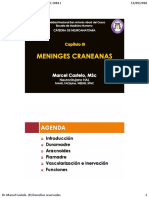 Agenda: Introducción Duramadre Aracnoides Piamadre Vascularización e Inervación Funciones