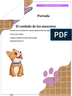 Cuidado mascotas Lourdes