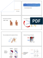 Exercícios Pesos Livre - Ombro