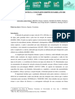 Cesariana em Egua Com Parto Distocicorelato de Caso