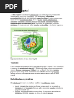 Célula vegetal