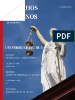 Derechos Humanos: Universidad Del Sur