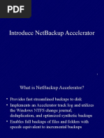 Introduce Netbackup Accelerator