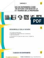 Cuidado de Enfermería Como Objeto de Estudio Con Base en La Filosofía Y Teorías de La Profesión