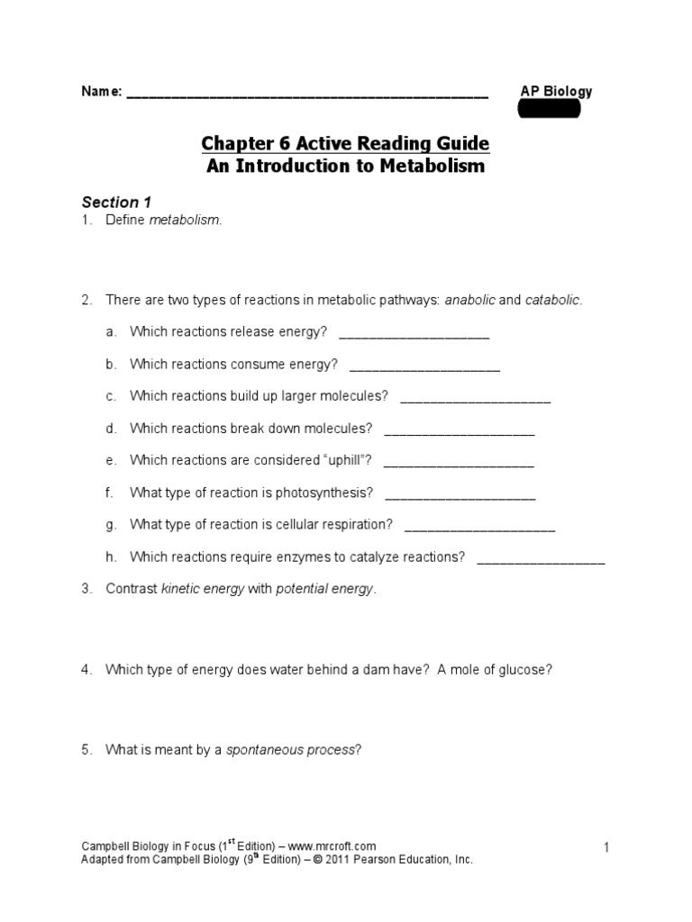 Chapter 6 Active Reading Guide PDF Enzyme Inhibitor Enzyme
