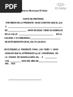 Ejemplo De Constancia De Identidad Pdf 