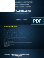 Cicatrização: Universidade de Ribeirão Preto Curso de Medicina Disciplina - Técnica Cirúrgica 1