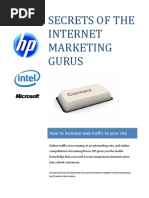 Secrets of the Internet Marketing Gurus 
