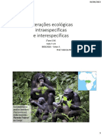 Interações Ecológicas Intraespecíficas e Interespecíficas: Floresta Tropical