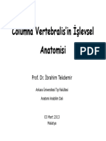 Columna Vertebralis'in İşlevsel Anatomisi: Prof. Dr. İbrahim Tekdemir