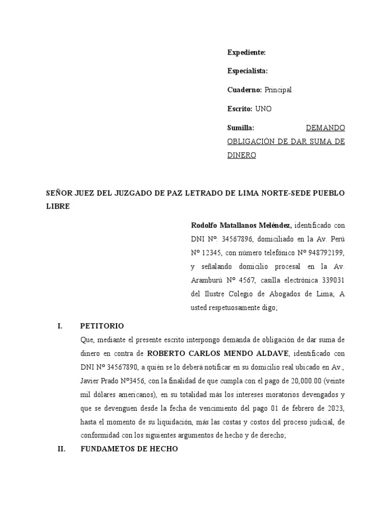 demanda-de-obligaci-n-de-dar-suma-de-dinero-pdf-pagos-demanda