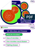 8C Microbes and Disease 1