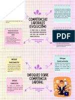 Evolición: Competencias Laborales (Evolución)